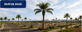 Lote Asia